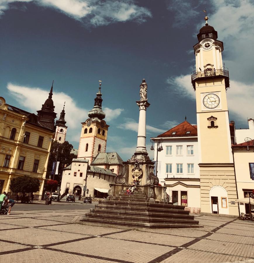 Bl Luxury Apartment, 24Hr Self Check-In, Free Private Garage Parking, Panoramic Views From Balcony, 5 Minute Walk To City Center Banská Bystrica Exterior foto